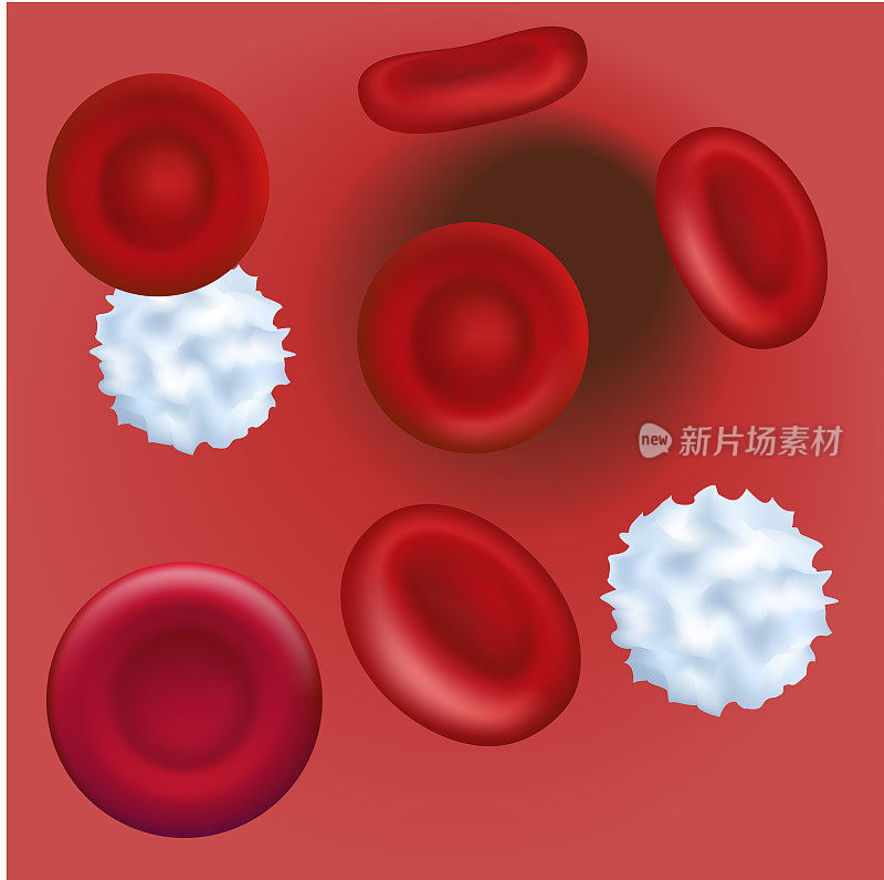 静脉中的红细胞和白细胞。显微镜下的健康人类血液放大血浆中的红细胞。3 d演示。矢量插图EPS 10